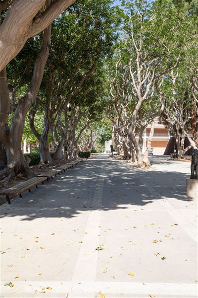 University of California, Los Angeles - UCLA (8/4/2023 - Credits: University of California, Los Angeles - UCLA)