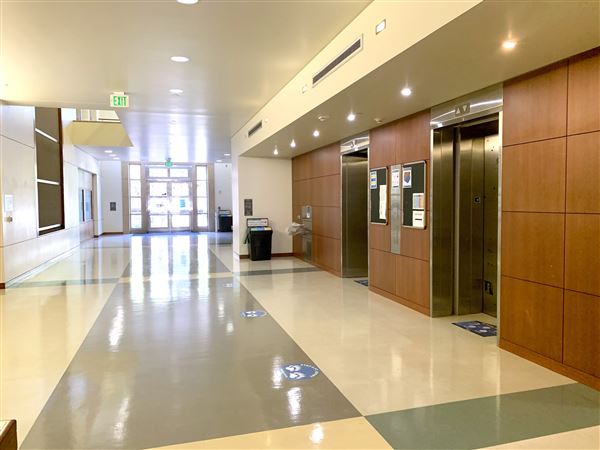 University of California, Los Angeles - UCLA (8/4/2023 - Credits: University of California, Los Angeles -UCLA)