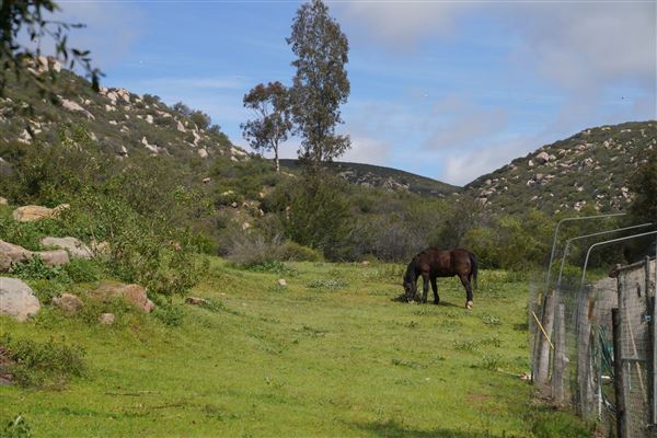 Stone Meadows Ranch (11/29/2023 - Credits: Photo Courtesy of Thomas Levin)