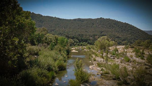 Rancho San Fernando Rey (12/5/2023 - Credits: Rancho San Fernando Rey)