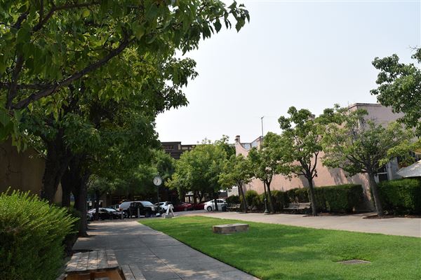Lincoln (5/30/2023 - Credits: Placer County)