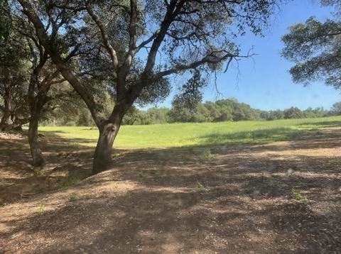 Olive Ranch (5/10/2022 - Credits: Placer County)