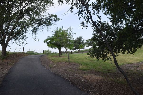 Olive Ranch (7/14/2022)