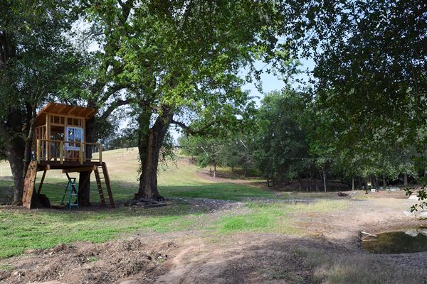 Olive Ranch (7/14/2022)