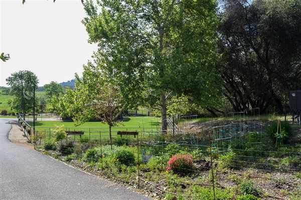 Olive Ranch (7/14/2022)