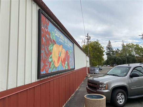 Loomis (7/19/2022 - Credits: Placer County)
