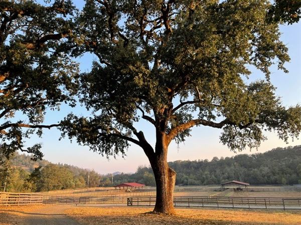 Alpine Ranch (12/19/2023 - Credits: Photo Courtesy of Alpine Ranch)