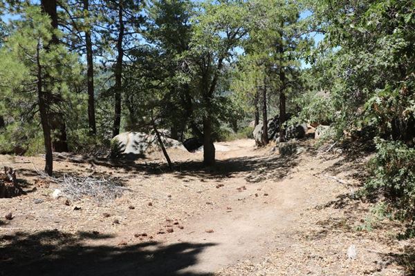 Camp Cedar Lake (1/18/2024 - Credits: Photo Courtesy of Big Bear Locations)