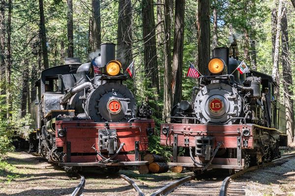 Yosemite Mountain Sugar Pine Railroad (1/25/2024 - Credits: Photo Courtesy of Yosemite Mountain Sugar Pine Railroad)
