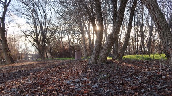 Feather River Parkway (1/13/2024 - Credits: Film Yuba Sutter)
