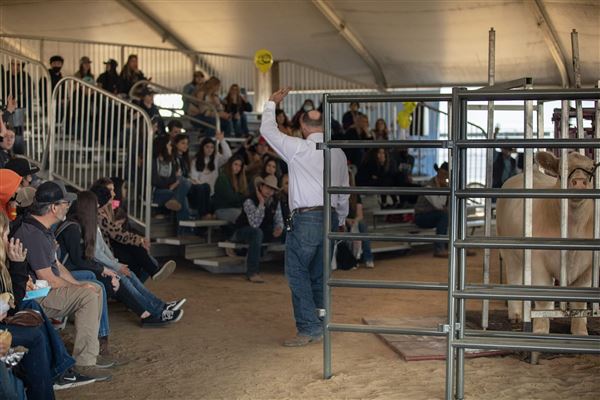 World Ag Expo® (3/8/2024 - Credits: Photo Courtesy of World Ag Expo®)