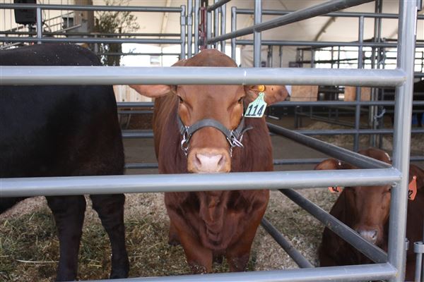 World Ag Expo® (3/8/2024 - Credits: Photo Courtesy of World Ag Expo®)