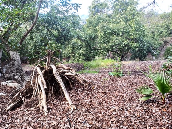 Randhawa Ranch (3/7/2024 - Credits: submitted by: Matthew Stuhl)