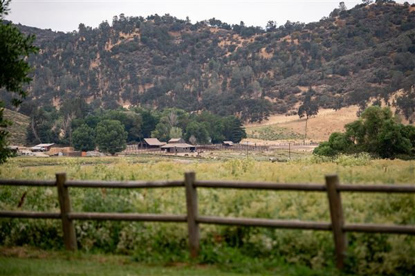 Rankin Ranch - California Cattle & Guest Ranch (5/15/2023 - Credits: Amanda Rankin)