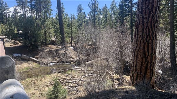 Manzanita Lake (5/3/2024 - Credits: Brandy Davis)