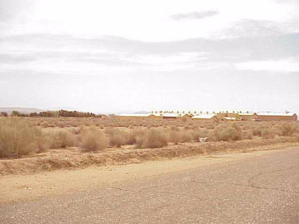 Hinkley (12/31/2003)