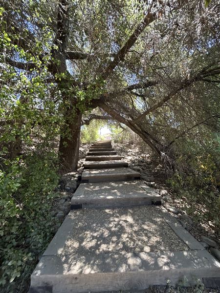 Malibu Creek State Park (SP) - Trail Head and Creek (6/26/2024 - Credits: Brandy Davis)