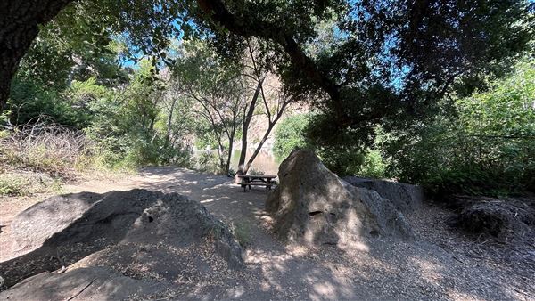 Malibu Creek State Park (SP) - Century Lake (6/26/2024 - Credits: Brandy Davis)