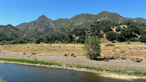 Malibu Creek State Park (SP) - Scenic Views from trail (6/26/2024 - Credits: Brandy Davis)