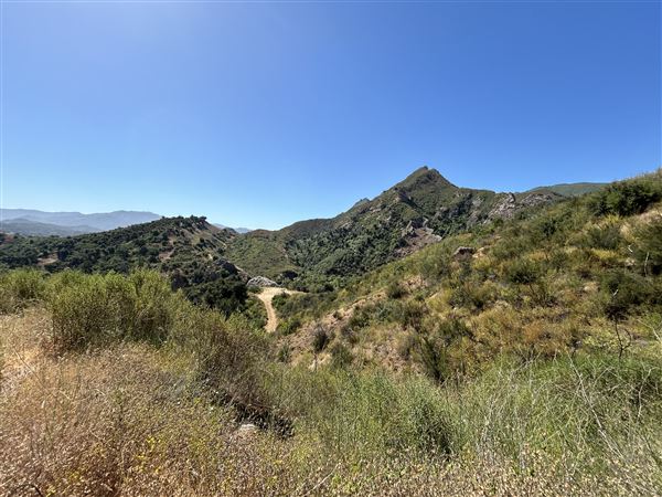 Malibu Creek State Park (SP) - Scenic Views from trail (6/26/2024 - Credits: Brandy Davis)