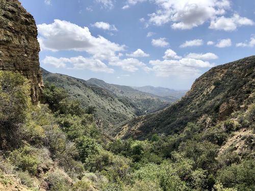 Cleveland National Forest - Black Star Canyon Trail (7/2/2024 - Credits: Public Affairs Officer Forest Service)