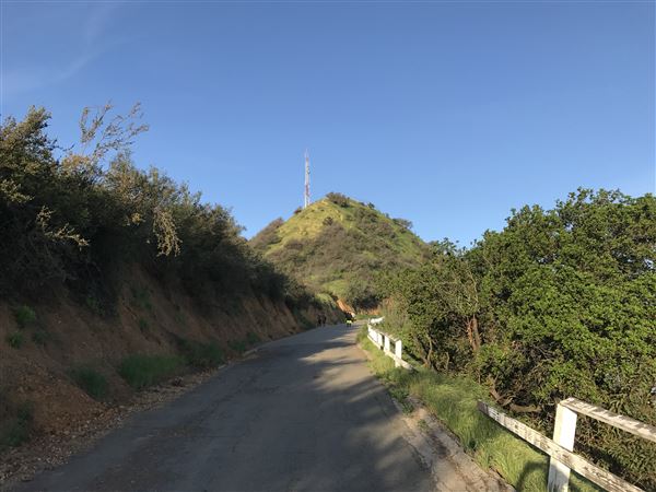Griffith Park / Fern Dell / Griffith Park Merry-Go-Round - View of Mt Lee Summit From Mt Lee Drive (3/18/2017 - Credits: By Crishazzard - Own work, https://hikingguy.com/hiking-trails/best-la-hikes/easy-hollywood-sign-hike/, CC BY-SA 4.0, https://commons.wikimedia.org/w/index.php?curid=74976740)