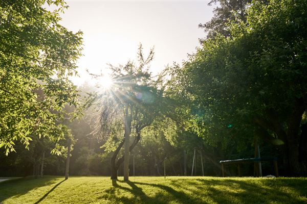 Dawn Ranch - Fern Grove Cottage (7/16/2024 - Credits: Dawn Ranch)