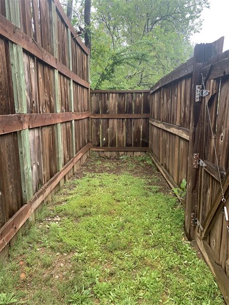 Shasta State Historic Park (SHP) (5/4/2024 - Credits: Brandy Davis)