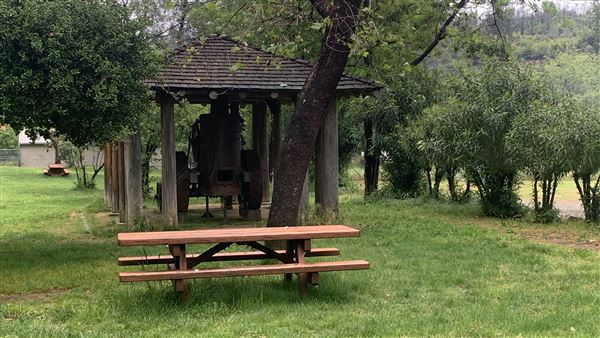 Shasta State Historic Park (SHP) (5/4/2024 - Credits: Brandy Davis)