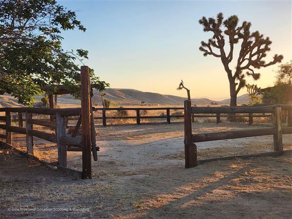 Desert Willow Ranch (6/5/2024 - Credits: Gina Vreeland)