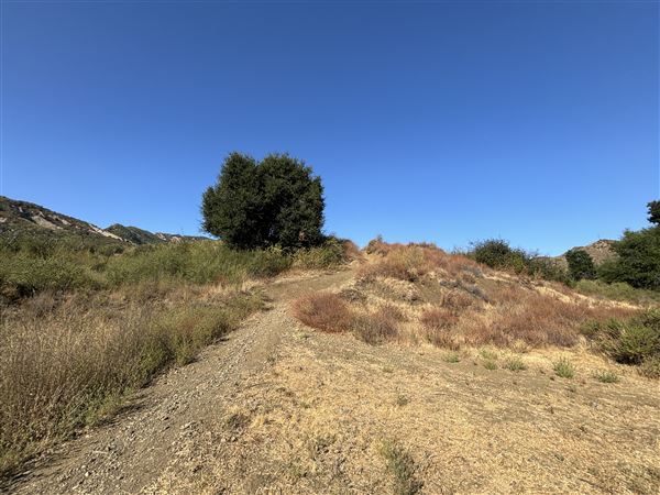 Malibu Creek State Park (SP) - M*A*S*H* Site Location (7/31/2024 - Credits: Brandy Davis)