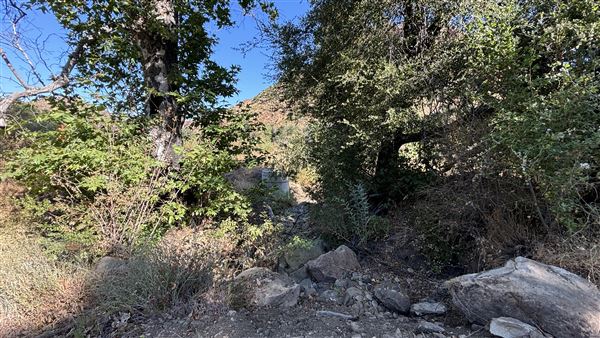 Malibu Creek State Park (SP) - M*A*S*H* Site Location (7/31/2024 - Credits: Brandy Davis)