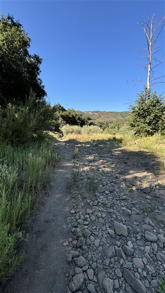 Malibu Creek State Park (SP) - M*A*S*H* Site Location (7/31/2024 - Credits: Brandy Davis)
