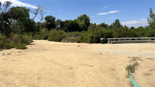 Sepulveda Basin Wildlife Preserve / Woodley Park (8/2/2024 - Credits: Brandy Davis)