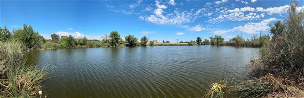 Sepulveda Basin Wildlife Preserve / Woodley Park (8/2/2024 - Credits: Brandy Davis)