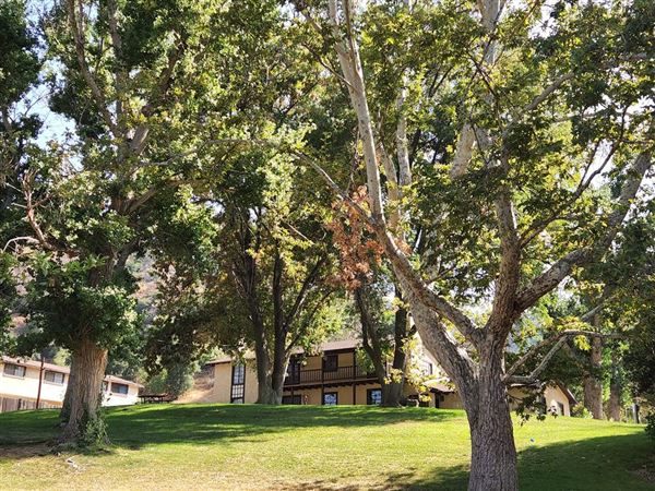 Ed Davis Park in Towsley Canyon - Santa Monica Mountains Conservancy - SMMC (8/20/2024 - Credits: Santa Monica Mountains Conservancy)