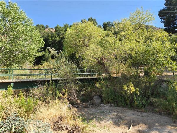 Ed Davis Park in Towsley Canyon - Santa Monica Mountains Conservancy - SMMC (8/20/2024 - Credits: Santa Monica Mountains Conservancy)