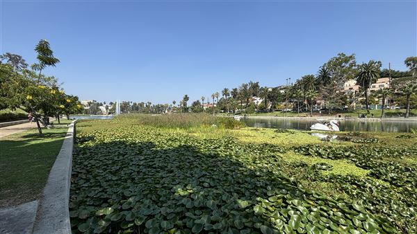 Echo Park Lake Recreation Center (9/17/2024 - Credits: Brandy Davis)