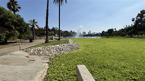 Echo Park Lake Recreation Center (9/17/2024 - Credits: Brandy Davis)