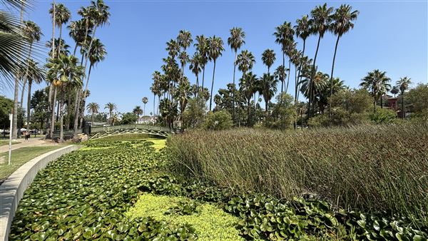 Echo Park Lake Recreation Center (9/17/2024 - Credits: Brandy Davis)