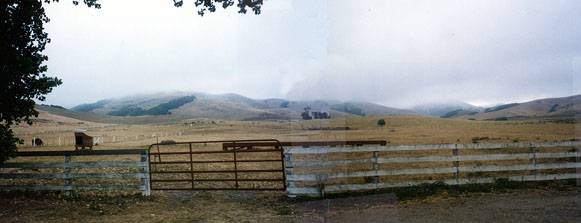 J G Angus Ranch (12/31/2003)