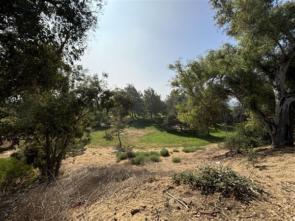 Elysian Park - Angels Point (6/22/2024 - Credits: Brandy Davis)