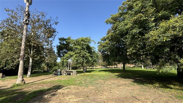 Elysian Park - Angels Point (6/22/2024 - Credits: Brandy Davis)