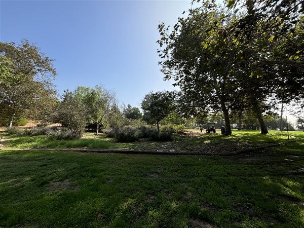 Elysian Park - Angels Point (6/22/2024 - Credits: Brandy Davis)