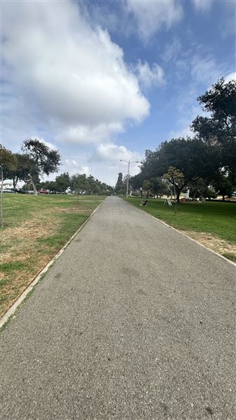 Edward Vincent Park - Paths and grass area (10/17/2024 - Credits: Brandy Davis)