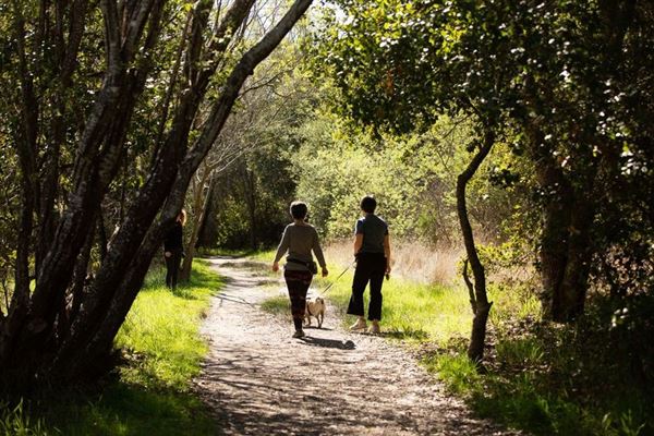 Ragle Ranch Regional Park (10/29/2024 - Credits: Sonoma County)