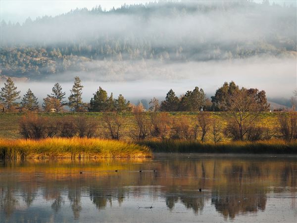 Spring Lake Regional Park (10/29/2024 - Credits: Sonoma County)
