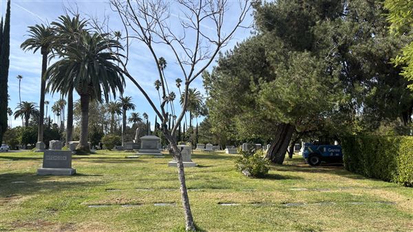 Hollywood Forever Cemetery (11/7/2024 - Credits: Brandy Davis)