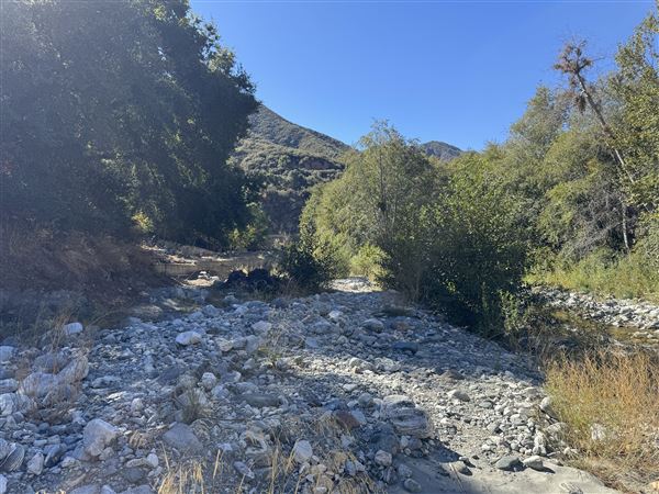 Camp Williams Resort (11/14/2024 - Credits: submitted by: Amar Patel)