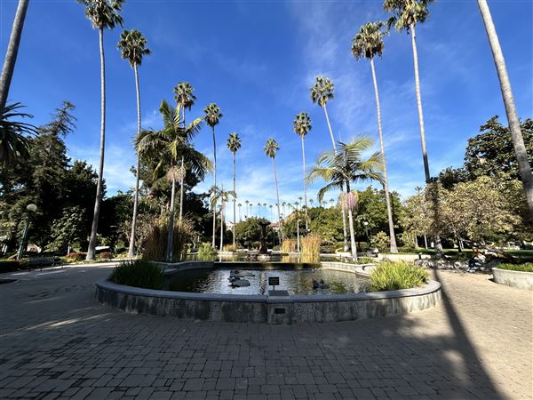 Will Rogers Memorial Park (12/16/2024 - Credits: Brandy Davis)